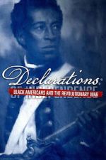 Watch Declarations: Black Americans and the Revolutionary War Myflixer