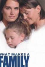 Watch What Makes a Family Myflixer