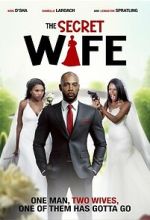 Watch The Secret Wife Myflixer