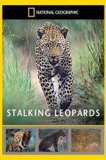 Watch National Geographic: Stalking Leopards Myflixer