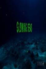 Watch Glowing Seas - Diving at Hatshepsut's Harbour Myflixer