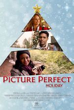 Watch A Picture Perfect Holiday Myflixer
