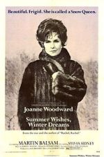 Watch Summer Wishes, Winter Dreams Myflixer