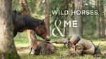 Watch Wild Horses, the Rockies and Me (TV Special 2025) Myflixer