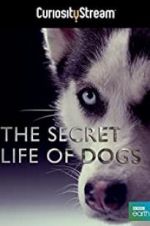 Watch Secret Life of Dogs Myflixer