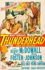Watch Thunderhead: Son of Flicka Myflixer