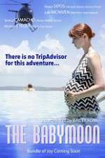 Watch The Babymoon Myflixer