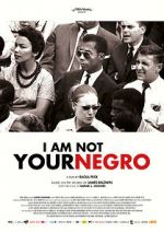 Watch I Am Not Your Negro Myflixer