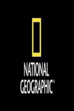 Watch National Geographic Wild Animal Attacks On Vacation Myflixer
