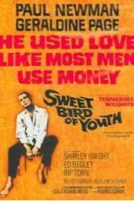Watch Sweet Bird of Youth Myflixer