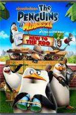Watch Penguins of Madagascar New to the Zoo Myflixer