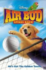 Watch Air Bud Spikes Back Myflixer