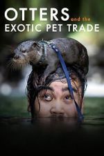 Watch Otters and the Exotic Pet Trade Myflixer