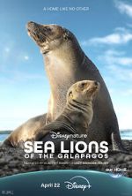 Watch Sea Lions of the Galapagos (TV Special 2025) Myflixer
