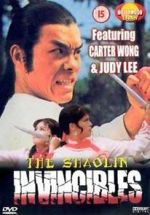 Watch Yong zheng ming zhang Shao Lin men Myflixer