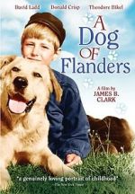 Watch A Dog of Flanders Myflixer