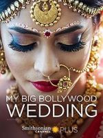 Watch My Big Bollywood Wedding Myflixer