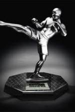 Watch World MMA Awards 2010 Myflixer