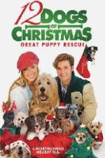 Watch 12 Dogs of Christmas Great Puppy Rescue Myflixer