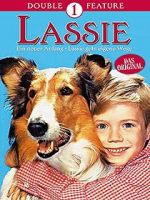 Watch Lassie: A New Beginning Myflixer