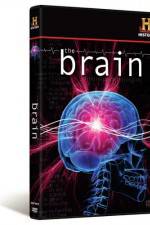 Watch The Brain Myflixer