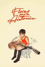 Watch Flores para Antonio Myflixer