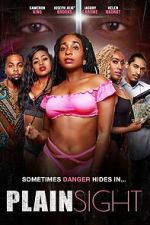 Watch Plain Sight Myflixer