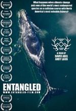 Watch Entangled: The Race to Save Right Whales from Extinction Myflixer