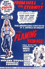 Watch The Flaming Teenage Myflixer