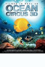 Watch Ocean Circus 3D: Underwater Around the World Myflixer