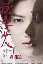 Watch The Witness Myflixer