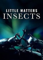 Watch Little Matters: Insects Myflixer