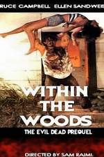 Watch Within the Woods Myflixer