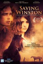 Watch Saving Winston Myflixer
