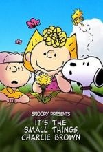 Watch Snoopy Presents: It's the Small Things, Charlie Brown (TV Special 2022) Myflixer