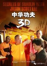 Watch Secrets of Shaolin with Jason Scott Lee Myflixer