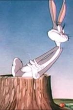 Watch The Unruly Hare Myflixer