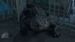Watch Croc! Myflixer