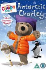 Watch Little Charley Bear - Antarctic Charley Myflixer