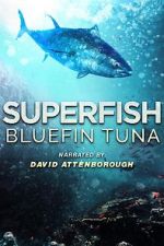 Watch Superfish Bluefin Tuna Myflixer