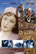 Watch Die Frau aus Chicago Myflixer