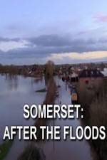 Watch Somerset: After the Floods Myflixer