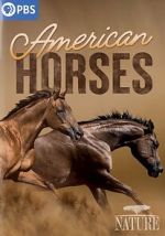 Watch American Horses Myflixer