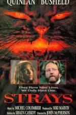Watch Strays Myflixer