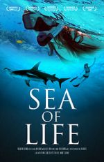 Watch Sea of Life Myflixer