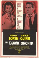 Watch The Black Orchid Myflixer