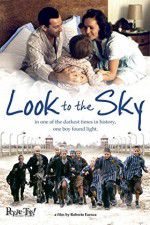 Watch Look to the Sky Myflixer