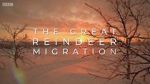 Watch All Aboard! The Great Reindeer Migration Myflixer