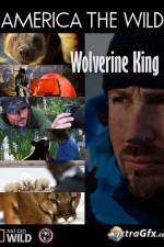 Watch National Geographic Wild America the Wild Wolverine King Myflixer
