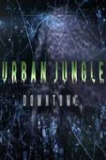 Watch National Geographic Wild Urban Jungle Downtown Myflixer
